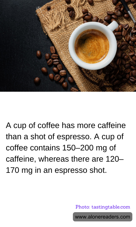 General Knowledge Learning Cards