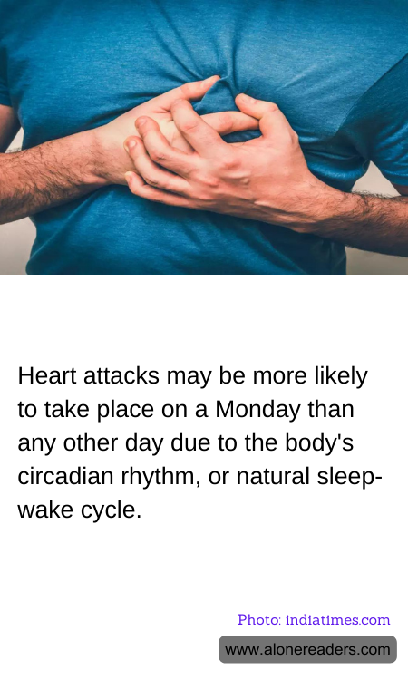 General Knowledge Learning Cards