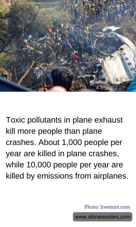 General Knowledge Learning Cards