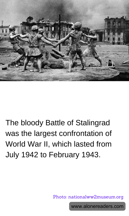 General Knowledge Learning Cards