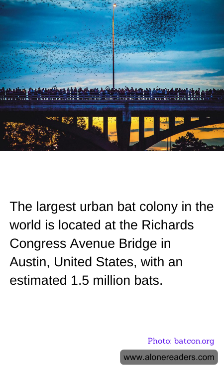 General Knowledge Learning Cards