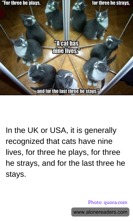 General Knowledge Learning Cards