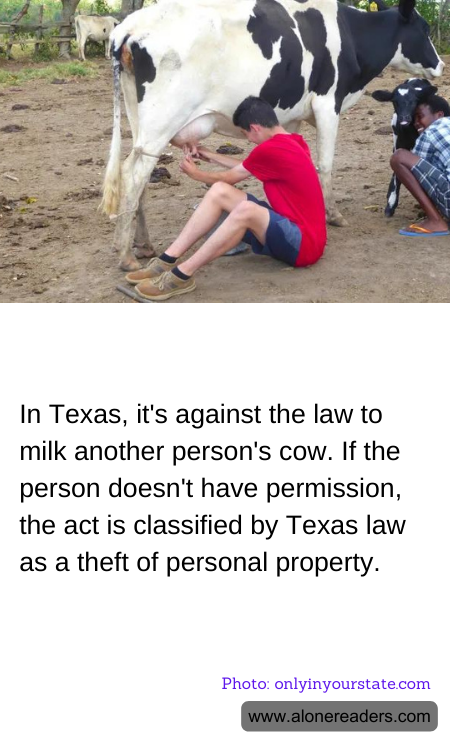 General Knowledge Learning Cards