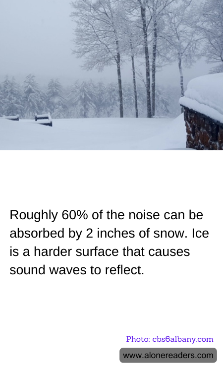 Roughly 60% of the noise can be absorbed by 2 inches of snow. Ice is a harder surface that causes sound waves to reflect.