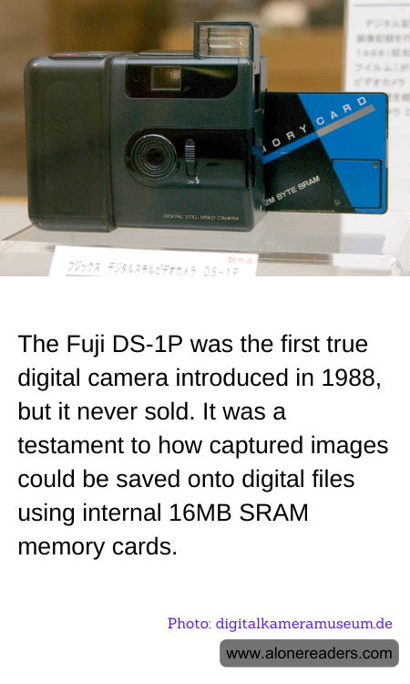 General Knowledge Learning Cards