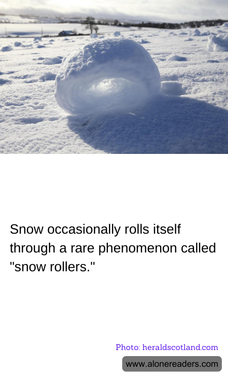 General Knowledge Learning Cards