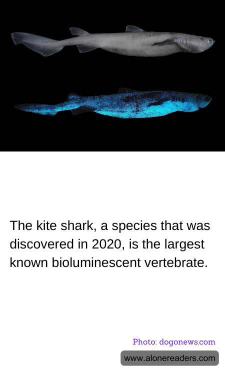 General Knowledge Learning Cards