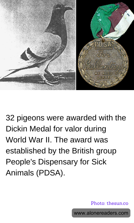32 pigeons were awarded with the Dickin Medal for valor during World War II. The award was established by the British group People's Dispensary for Sick Animals (PDSA).
