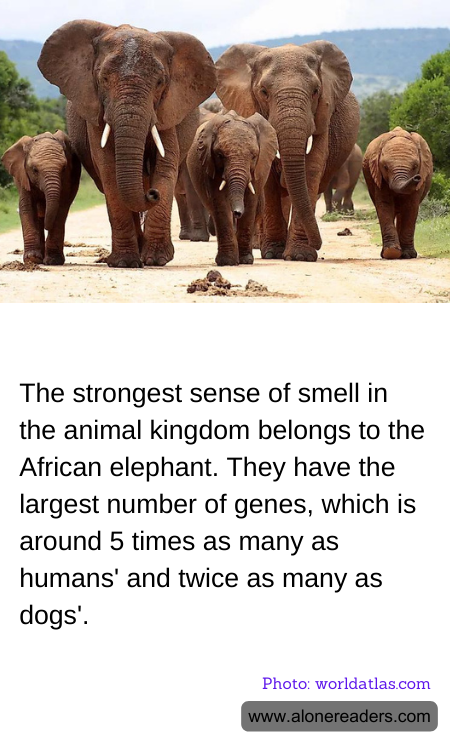 General Knowledge Learning Cards