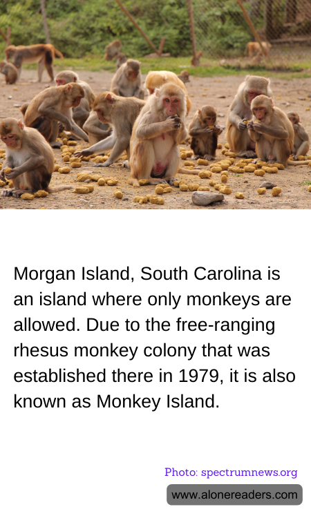 General Knowledge Learning Cards