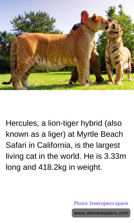 General Knowledge Learning Cards