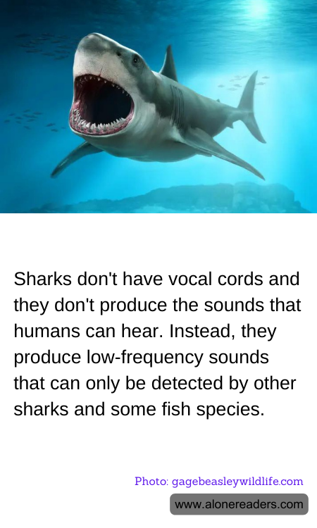 General Knowledge Learning Cards