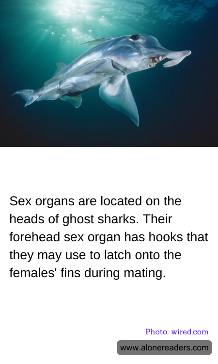 General Knowledge Learning Cards