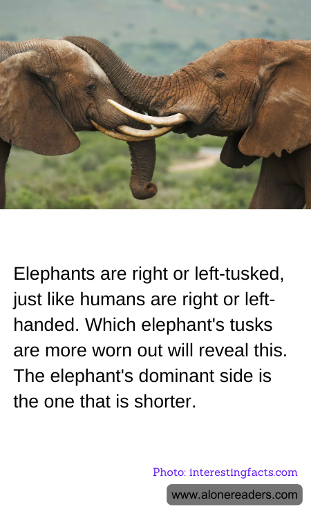 General Knowledge Learning Cards