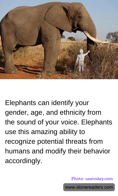 General Knowledge Learning Cards