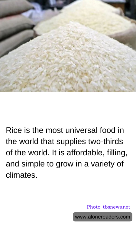 General Knowledge Learning Cards