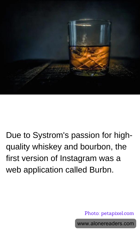 Due to Systrom's passion for high-quality whiskey and bourbon, the first version of Instagram was a web application called Burbn.