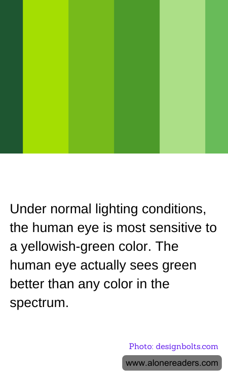 Under normal lighting conditions, the human eye is most sensitive to a yellowish-green color. The human eye actually sees green better than any color in the spectrum.