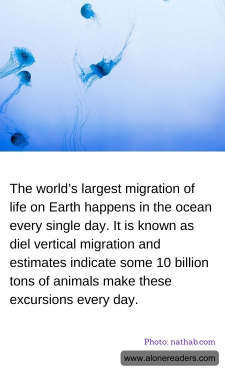 The world’s largest migration of life on Earth happens in the ocean every single day. It is known as diel vertical migration and estimates indicate some 10 billion tons of animals make these excursions every day.