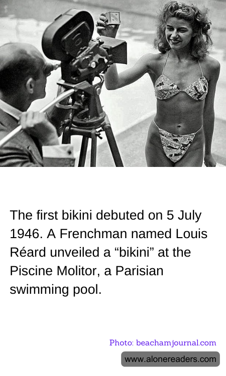 General Knowledge Learning Cards