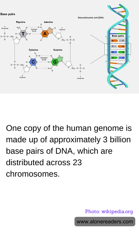 General Knowledge Learning Cards
