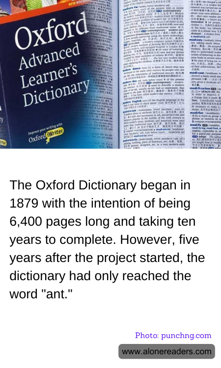 General Knowledge Learning Cards