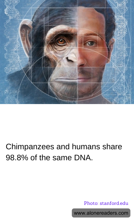 General Knowledge Learning Cards