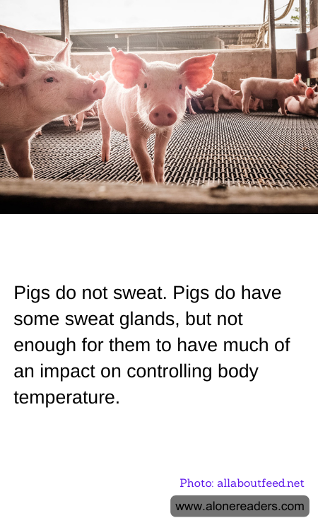 General Knowledge Learning Cards