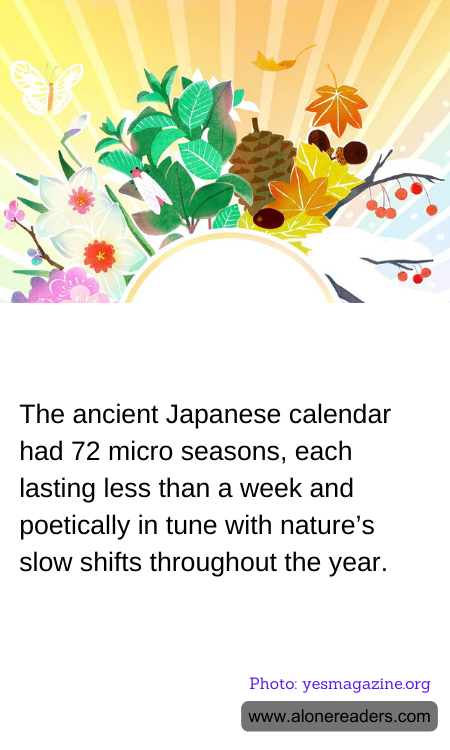 General Knowledge Learning Cards