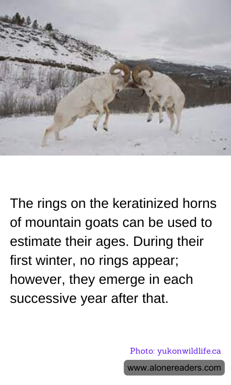 General Knowledge Learning Cards