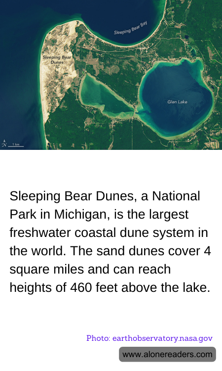 General Knowledge Learning Cards