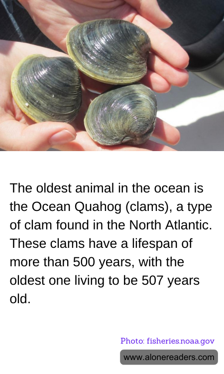 General Knowledge Learning Cards