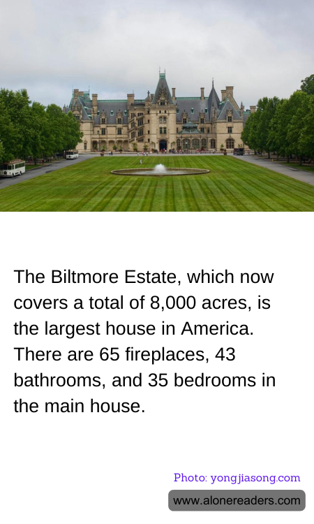 General Knowledge Learning Cards