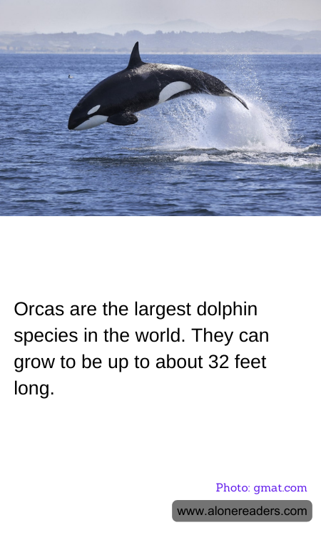 General Knowledge Learning Cards