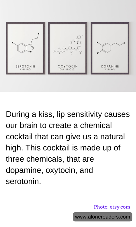 General Knowledge Learning Cards