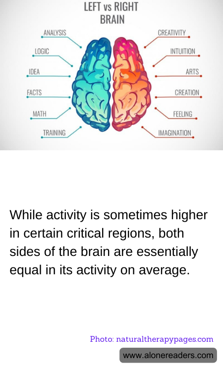 General Knowledge Learning Cards