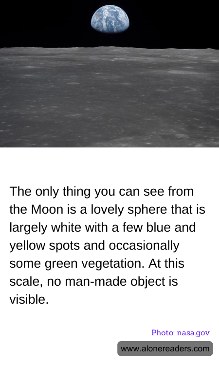 The only thing you can see from the Moon is a lovely sphere that is largely white with a few blue and yellow spots and occasionally some green vegetation. At this scale, no man-made object is visible.