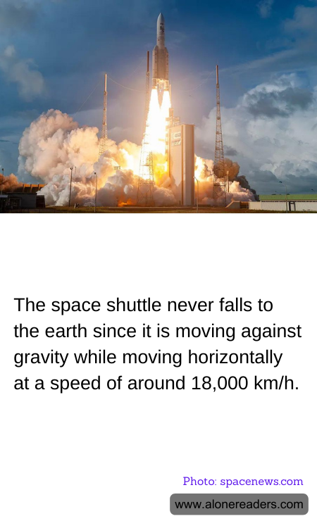 General Knowledge Learning Cards