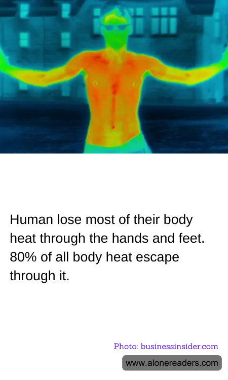 General Knowledge Learning Cards