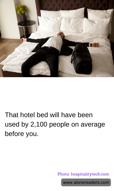 General Knowledge Learning Cards