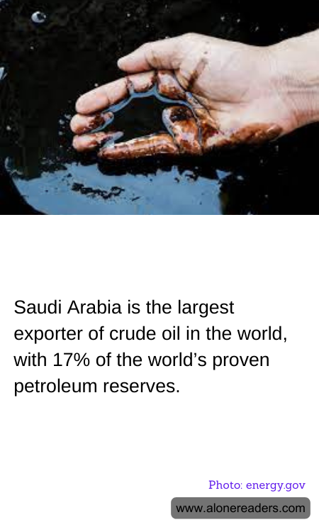 General Knowledge Learning Cards