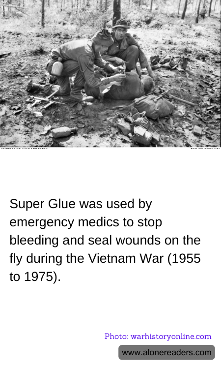 General Knowledge Learning Cards