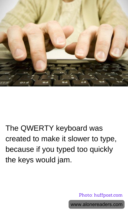 General Knowledge Learning Cards