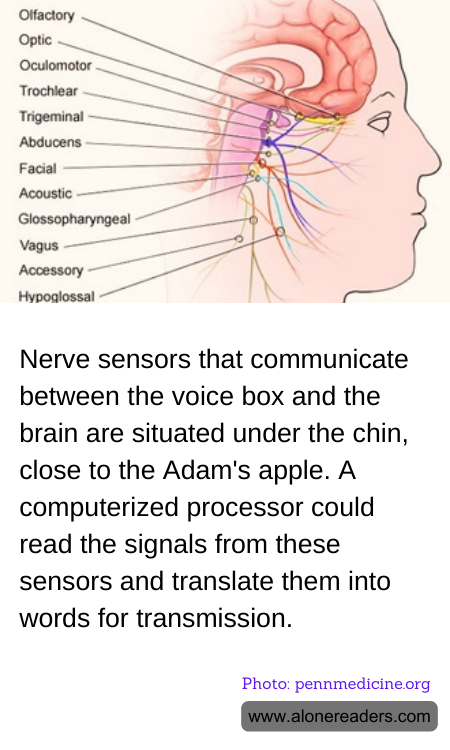 General Knowledge Learning Cards