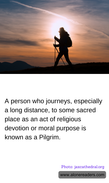 General Knowledge Learning Cards