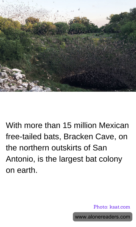 General Knowledge Learning Cards