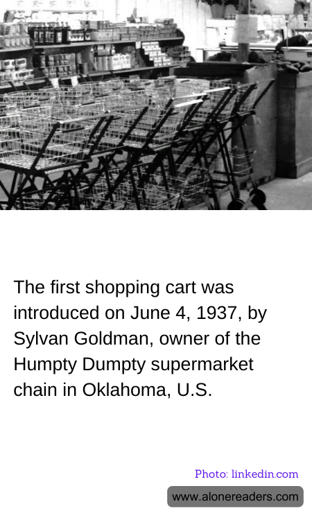 General Knowledge Learning Cards