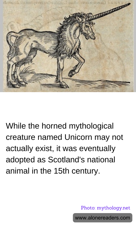 General Knowledge Learning Cards