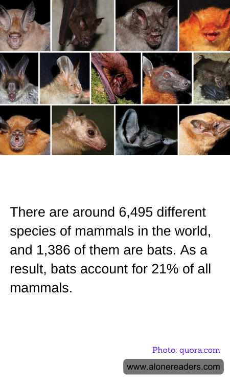 General Knowledge Learning Cards