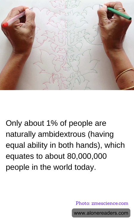 General Knowledge Learning Cards